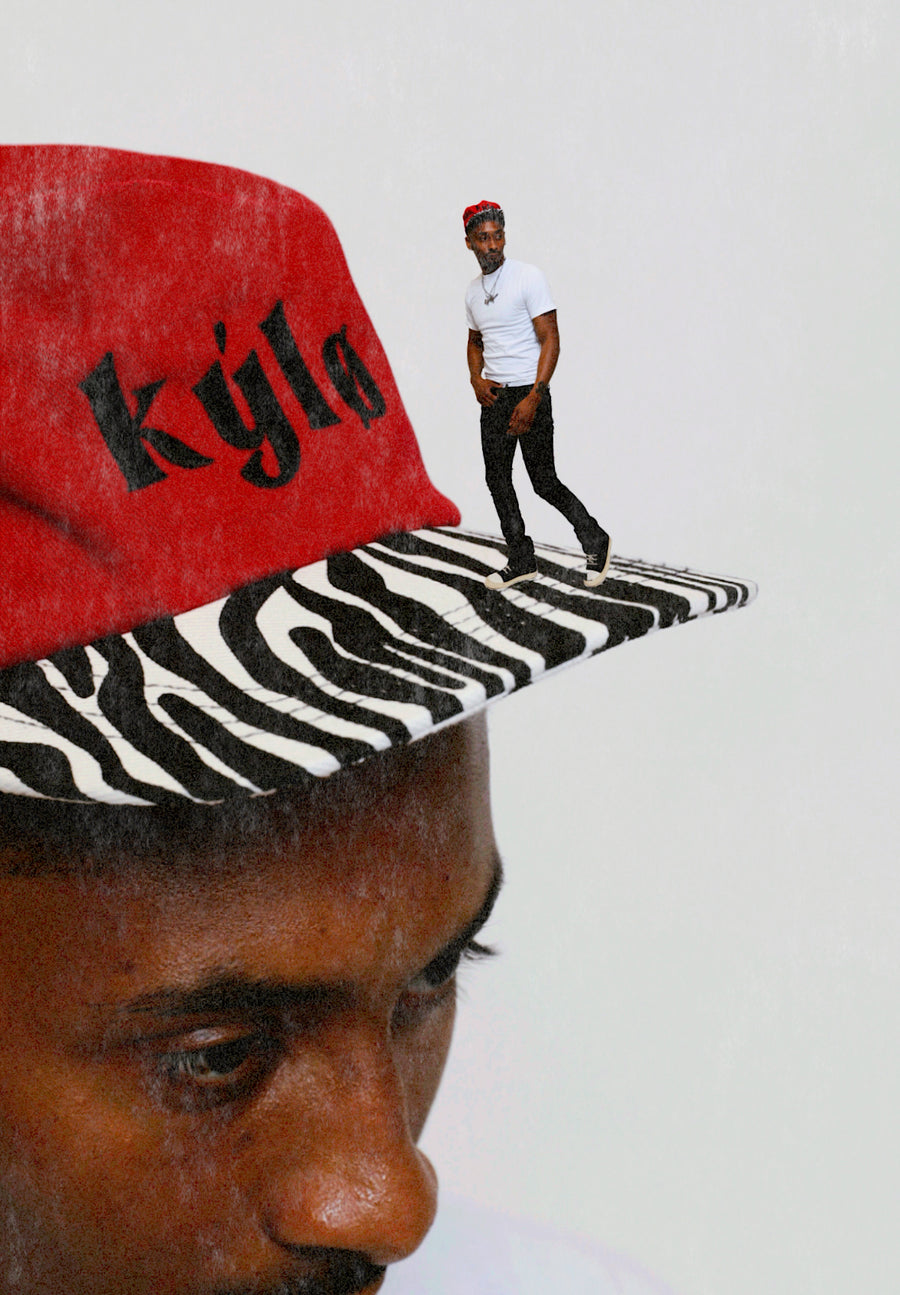 Zebra Print Hat